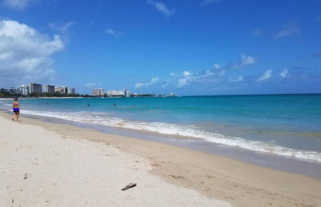 Mare 1562 - Photo 34