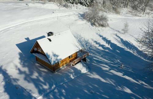 Chata na Kowalówkach - domek w górach - blisko szlaków i wyciągu - Foto 59