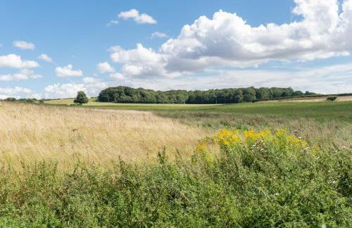 Duck Cottage - Grade II Listed cottage, village location, nr Holt - Foto 12