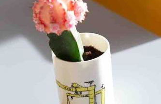 Spacious Apt in Belfast city 5mins to Titanic & SSE Arena - Foto 25