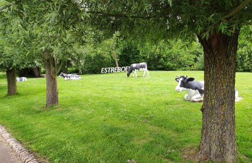 Séjour inoubliable en baie de SOMME, logement neuf - Foto 43