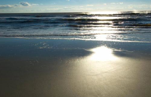 Promenade Overlook - Photo 39