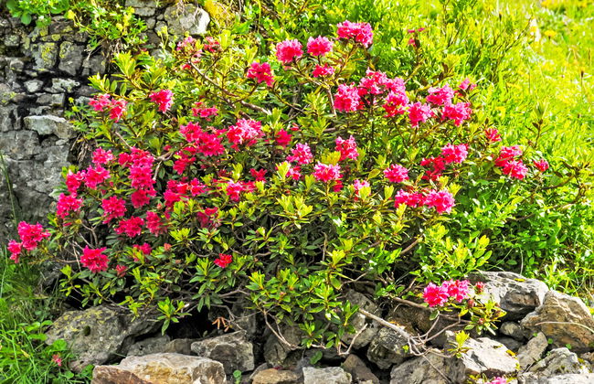 Bristol Apt.K - Foto 27