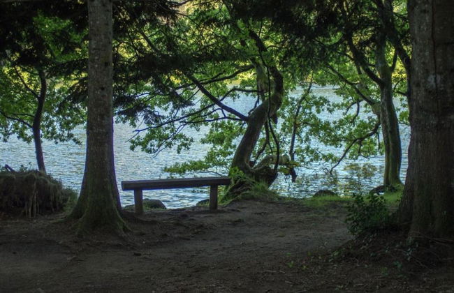 Villa in Mazamet With Private Pool - Foto 43