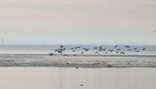 Küstenjunge "Flut" - Foto 4