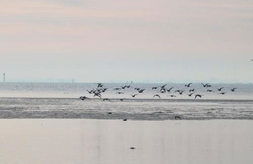 Küstenjunge "Flut" - Foto 4