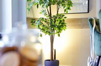 Peaceful City Garden Apartment - Foto 19