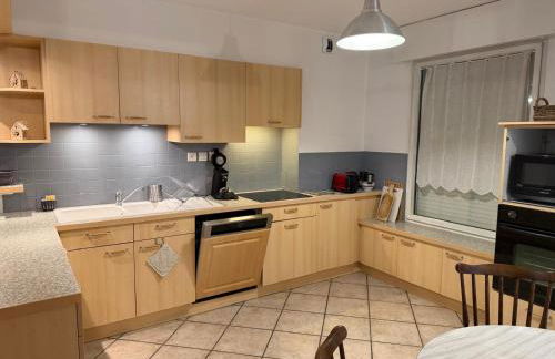 Appartement CITY CENTER-SALLANCHES - Foto 3