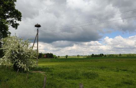 Agrodomek nad stawem - Foto 15