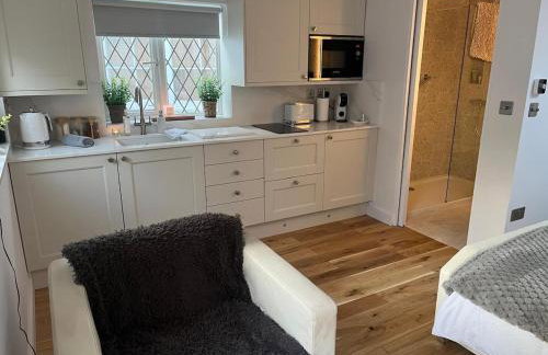 Garden Lodge, boutique - Walton on Thames - Foto 5