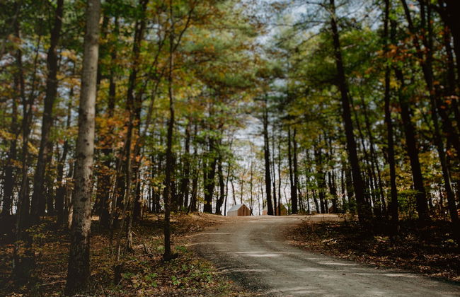 Gather Greene - Foto 13