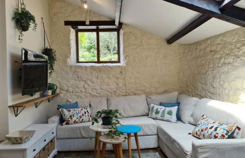 The Dairy - Quaint 1Br in Dartmoor National Park - Foto 20