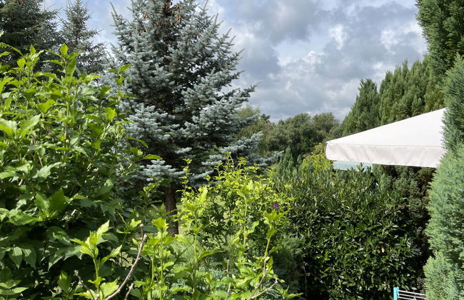 Am Pälitzsee - Foto 16