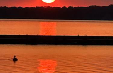 Maison éco-chic 4 chambres proche Lac et Troyes jardin WiFi nigloland - Foto 79