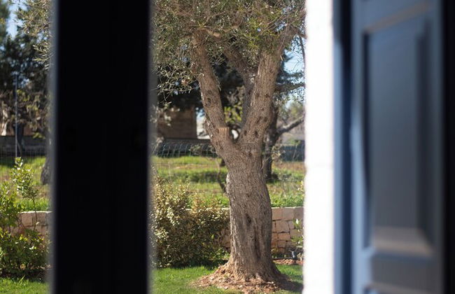 Borgofreddo - Foto 50