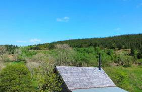Woolly Wood Cabins - Bryn - Photo 17