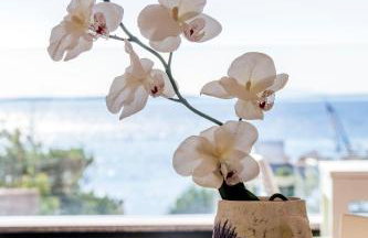 Boutique Villa Nirvana - Photo 33