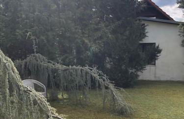 Lakeside Studio – Haus mit Seezugang - Photo 18