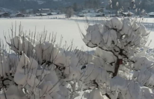 Kehlstein - Reich Family - Foto 20