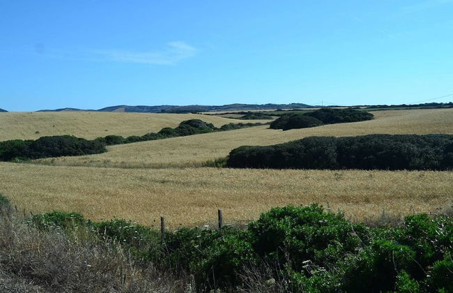 Holiday Home in Stintino Near Sea Beach - Photo 18