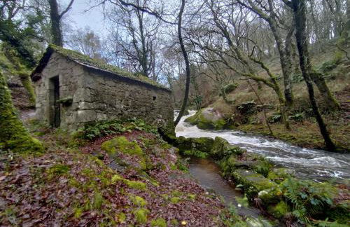 La casa de Angel y Olimpia - Photo 46