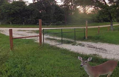 Private Cozy Hideaway with Deck Escape Austin 35mi - Photo 19