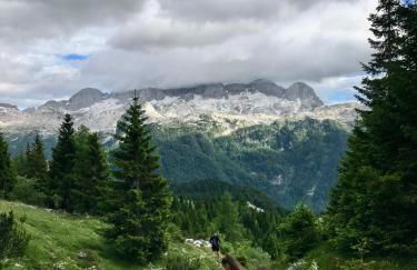 Mountain Apartment Rododendro - Foto 41