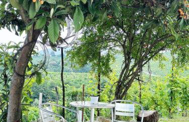 Valdobbiadene - free parking - Colline Prosecco - Foto 14