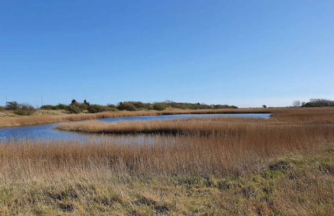 Retro Beach Retreat in Gedesby - Foto 4