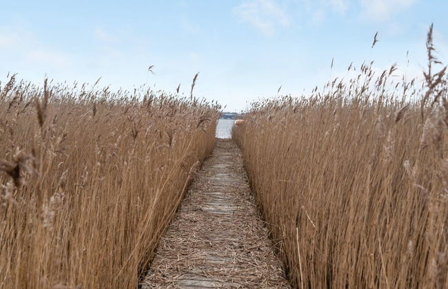 "Caren" - 125m to the fjord - Foto 19