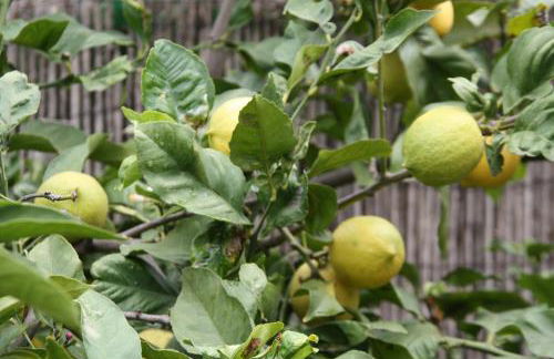 Finca Paraiso Monturrio Oase der Ruhe - Foto 18