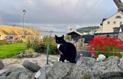 Lúnasa, a beach front haven - Foto 49