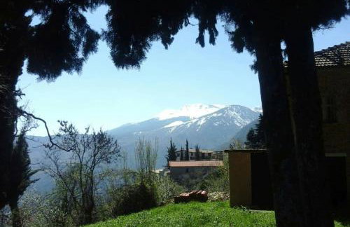 Arli House - Photo 35