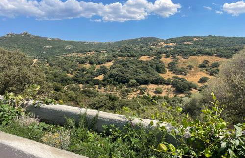 STAZZU LU CHISSONI - Foto 10