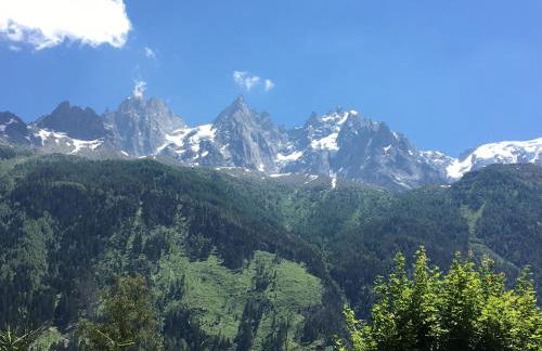 Appart'Hotel Aiguille Verte & Spa - Foto 112