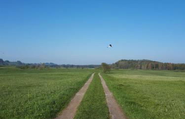 Ferienwohnung Nicole - Foto 16