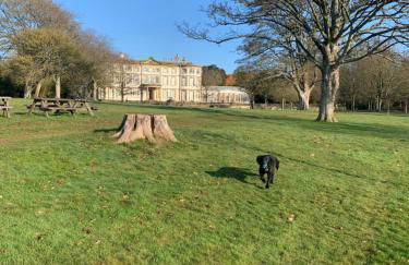 Dalis Den Lodge - Foto 16