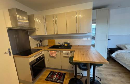 Beau Studio avec belle terrasse au centre ville de Nice - Foto 42