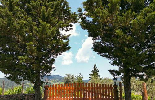 Tenuta il Poggetto - Foto 7