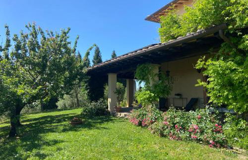 AGRIFOGLIO - Photo 9