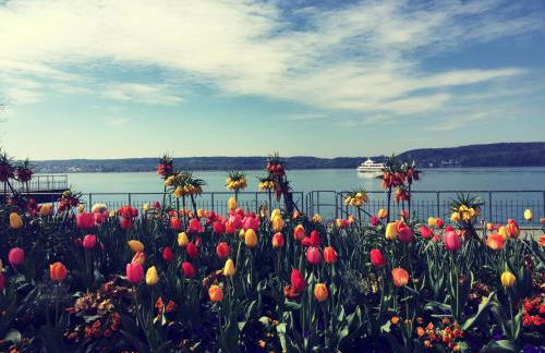 Blick ins Grüne - Foto 29