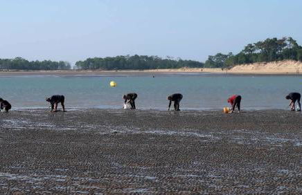 Ma Chaumiere - Foto 52