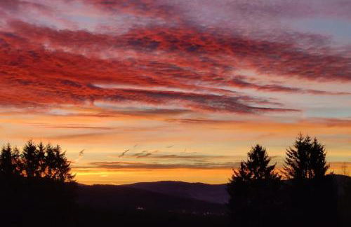 Altes Forsthaus Bodenmais - Foto 32