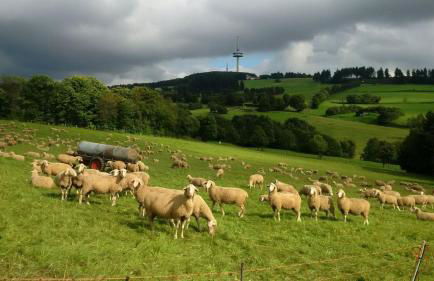 Ferienhaus Rosemarie - Foto 22