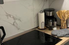 Luxus-Flat Wohnung-Hanau/Frankfurt - Foto 9