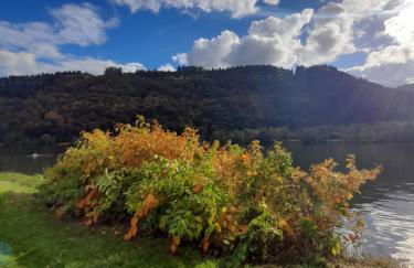 Ferienwohnungen am Moselbeach - Foto 25