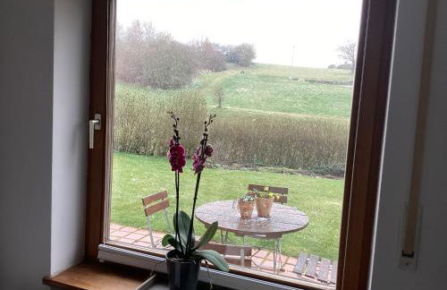 Relaxen vor den Toren Bambergs - Foto 14