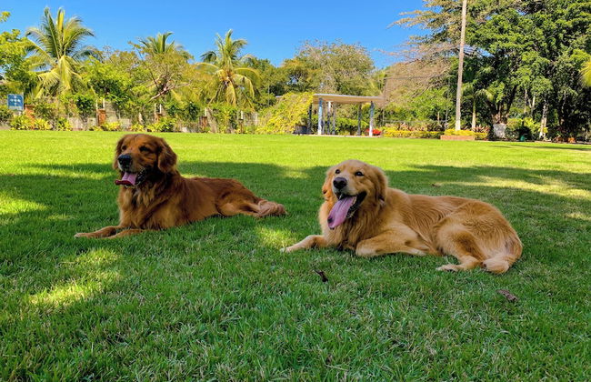 Puerto de Luna Pet Friendly & Family Suites Hotel - Photo 40