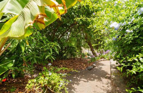 Tasarte by Villas Rivero - Foto 35