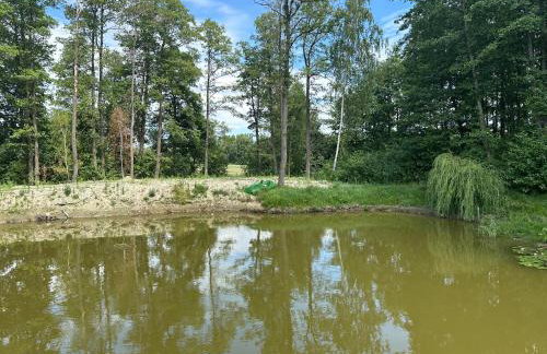 Filipowe Zacisze - Foto 30